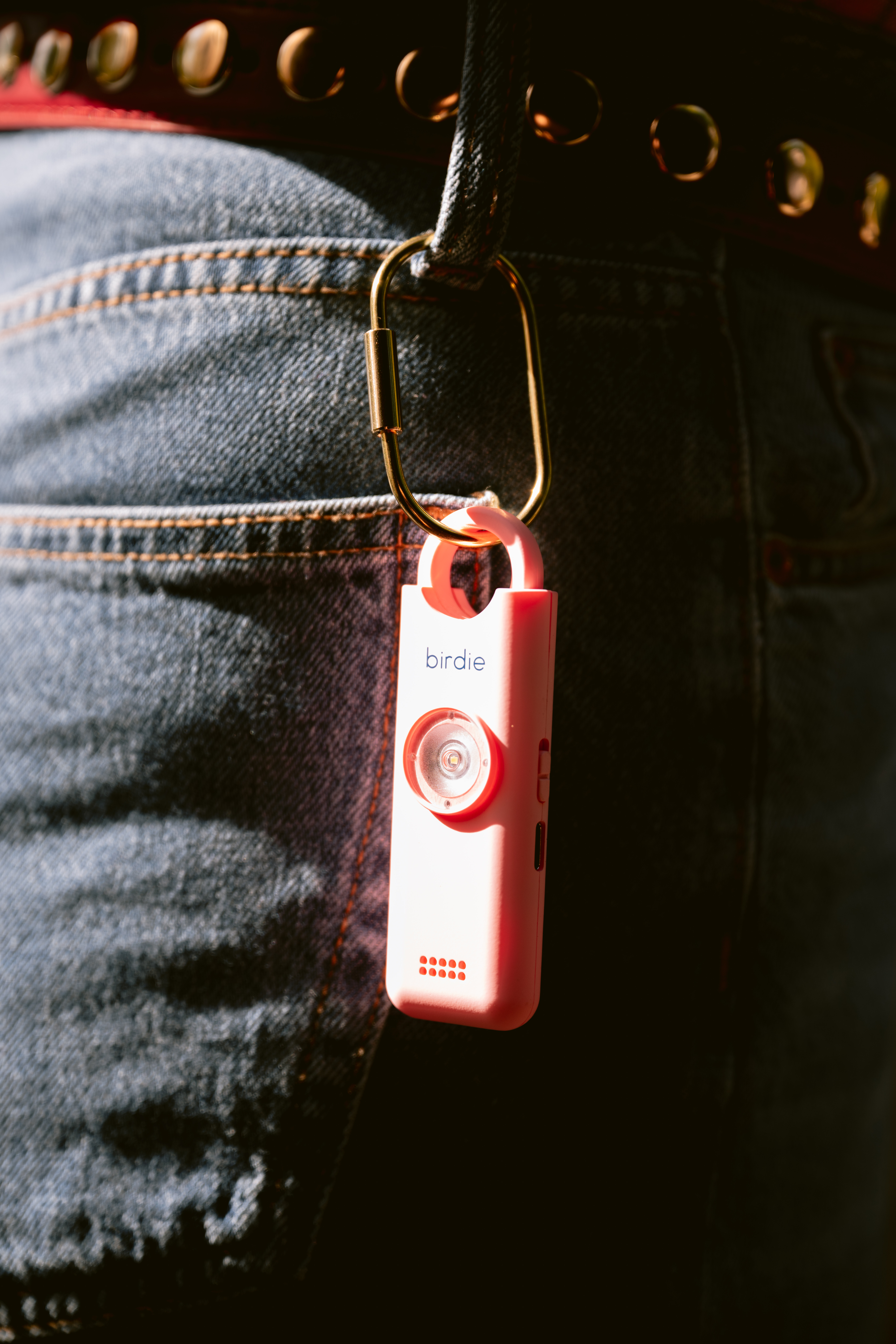Birdie 3.0 within reach on the go
